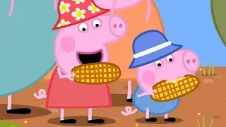 Peppa Pig Français ❤️Peppa! | 1 Heure | Dessin Animé Pour Enfant