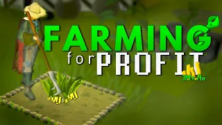 I make 3.2M GP Per Hour with the Farming Skill