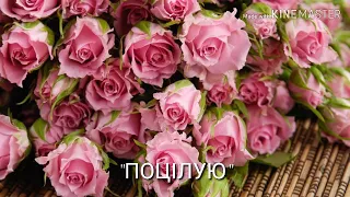 "Поцілую" Н. Калинович