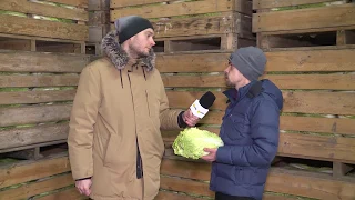 Michał Kołodziejczak: minister rolnictwa nas okłamał | OnetNews