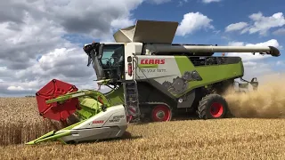 New Claas TRION 750 TERRA TRAC APS HYBRID combine harvesting wheat