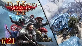 Slane The Winter Dragon | Divinity: Original Sin II - Episode #21