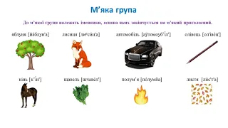 Урок 42  Нарушевич Васильєва  Поділ іменників на відміни та групи