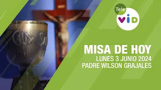 Misa de hoy ⛪ Lunes 3 Junio de 2024, Padre Wilson Grajales #TeleVID #MisaDeHoy #Misa