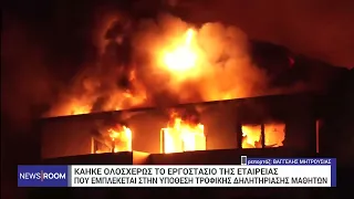 Λαμία: Καταστράφηκε ολοσχερώς το εργοστάσιο της εταιρείας Γιαννίτση | 20/5/2024 | ΕΡΤ