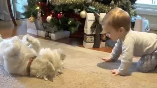 Puppy Love! Baby & Dog playing & laughing!