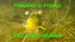 Fishing and Prawning on Tasmanias East Coast