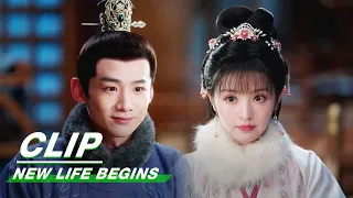 Yin Zheng is Flustered When Li Wei Calls Him by His Name | New Life Begins EP15 | 卿卿日常 | iQIYI