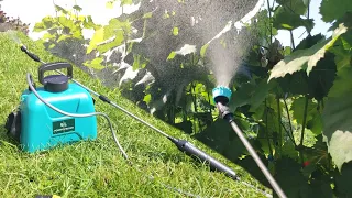 Cordless garden sprayer with 5 liter tank