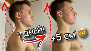 Я Исправил Свою Осанку за 7 Дней! *Вырос на 5см*