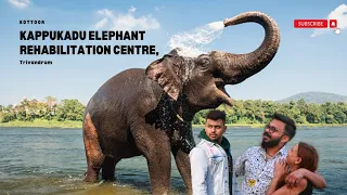 Kottoor Kappukadu Elephant Rehabilitation Centre #thiruvananthapuram #keralatourism