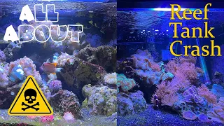 Don't Make The Same Mistake I Did With My Saltwater Tank