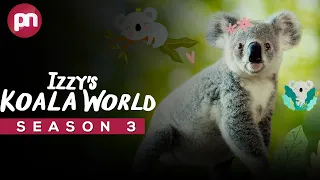 Izzy's Koala World Season 3: Coming Soon On Netflix? - Premiere Next
