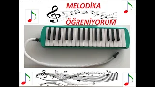 Melodika Eğitim Videosu Ders 1 ( Melodika çalma teknikleri ve Ağaçkakan Şarkısı)