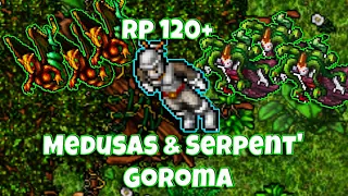 Tibia Hunt // Royal Paladin 120+ Goroma // Medusas y Serpent Spawn