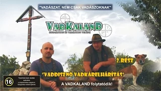 VADKALAND (2.rész) - Vaddisznó vadkárelhárítás (English-language version of in the description)