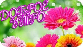 Доброе утро! 🌸 Пусть утро разбудит прохладой! 🌸 Good morning! 🌸