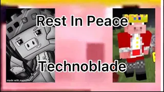 goodbye Technoblade. rest in peace. you will never be forgotten