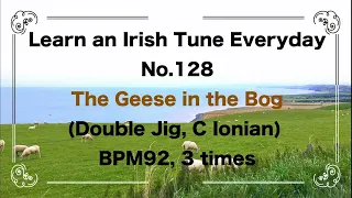 128 The Geese in the Bog (Double Jig, C Ionian)