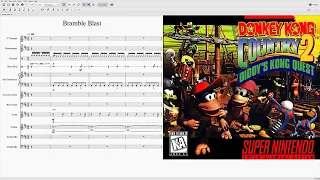 Stickerbush Symphony - Bramble Blast - Donkey Kong Country 2 ~ Violin Cover