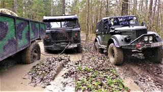 ГАЗ 66 последний рывок покатушки,доехали все без потерь#оффроад#offroad#gaz66#truck#оффроуд#шишига#