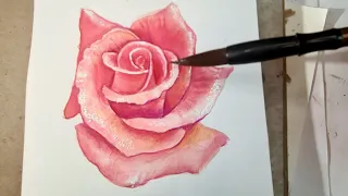 How to paint watercolour flower rose | watercolour & colour pencil | easy way to paint