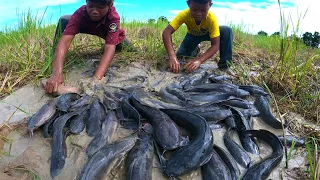 amazing fishing! catch a lots of catfish in dry water at field after harvest rice