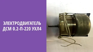 Электродвигатель ДСМ 0.2-П-220 УХЛ4. Проект Сервис Красноярск