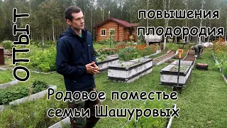 Опыт повышения плодородия почвы в Родовом Поместье семьи Шашуровых