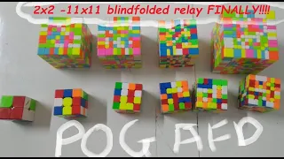 Finally a SUCCESS!!! 2x2 -11x11 Rubik's Cube Blindfolded Relay