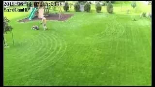 The Art of Mowing