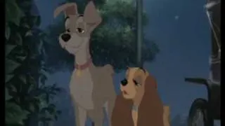 Lady & Tramp - After All These Years