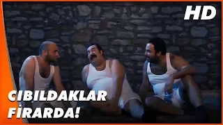 Firardayız | Eko'nun Kaçış Planları Tutmuyor | Türk Komedi Filmi