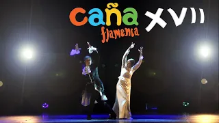 «Душа на кончике смычка» - «Costa del Flamenco», г.Москва, руководитель Лилия Сафина