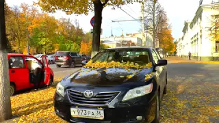 Осень в Воронеже 2017 год.