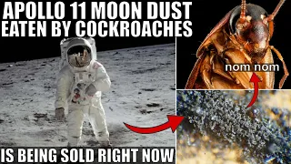Moon Dust Eaten By Cockroaches After Apollo 11 Is Being Sold Online...Umm What?