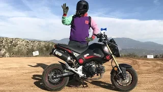 Here's Why The GROM / Z125 Is NOT A Good 1st Motorcycle