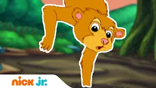 Гоу, Диего, Гоу! | Малыш-кинкажу в пчелином гнезде 😱| Nick Jr. Россия