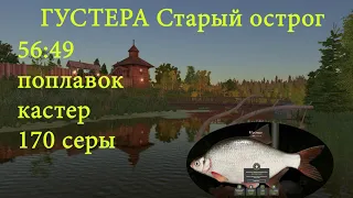 РР 4 Старый острог. Густера