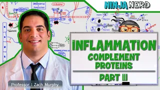 Immunology | Inflammation: Complement Proteins: Part 3