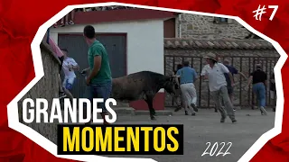 🤩 GRANDES MOMENTOS de 2022 · Séptima parte