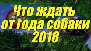 Что ждать от года собаки 2018 💯