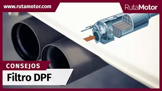 ¿Conoces el funcionamiento del DPF? - Trataremos de explicarte en que consiste y como cuidarlo