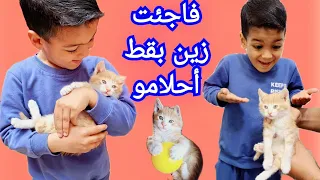 فاجئت زينو بقط أحلامو🐈كيف كانت ردة فعلو😍#زين_وألفت