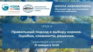 Урок 3. Правильный подход к выбору кормов. Ошибки, сложности, решения.