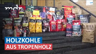 Holzkohle aus Tropenholz: Woher stammt die Kohle für unseren Grill? | Umschau | MDR