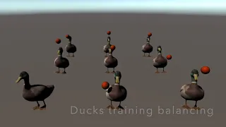 Train a duck to balance a ball (Machine Learning)