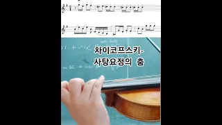 #shorts 사탕요정의 춤 차이코프스키 바이올린 악보 연주