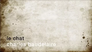 La minute de poésie : Le chat [Charles Baudelaire]