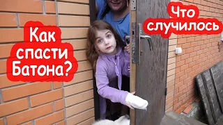 VLOG Чтобы спасти Батона нужен срочно хозяин дома